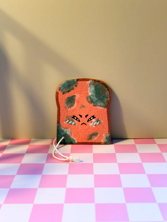 🍞Schimmeltoast🍞 Küchenschwamm